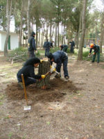Operaciones Auxiliares en el Control de Agentes Causantes de Plagas y Enfermedades a las Plantas Forestales